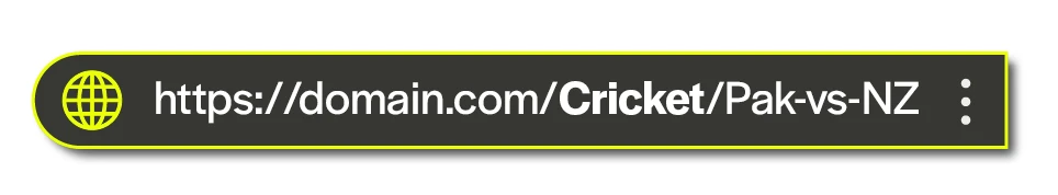URL example in a black background and neon green surrounding that says https://domain.com/Cricket/Pak-vs-NZ